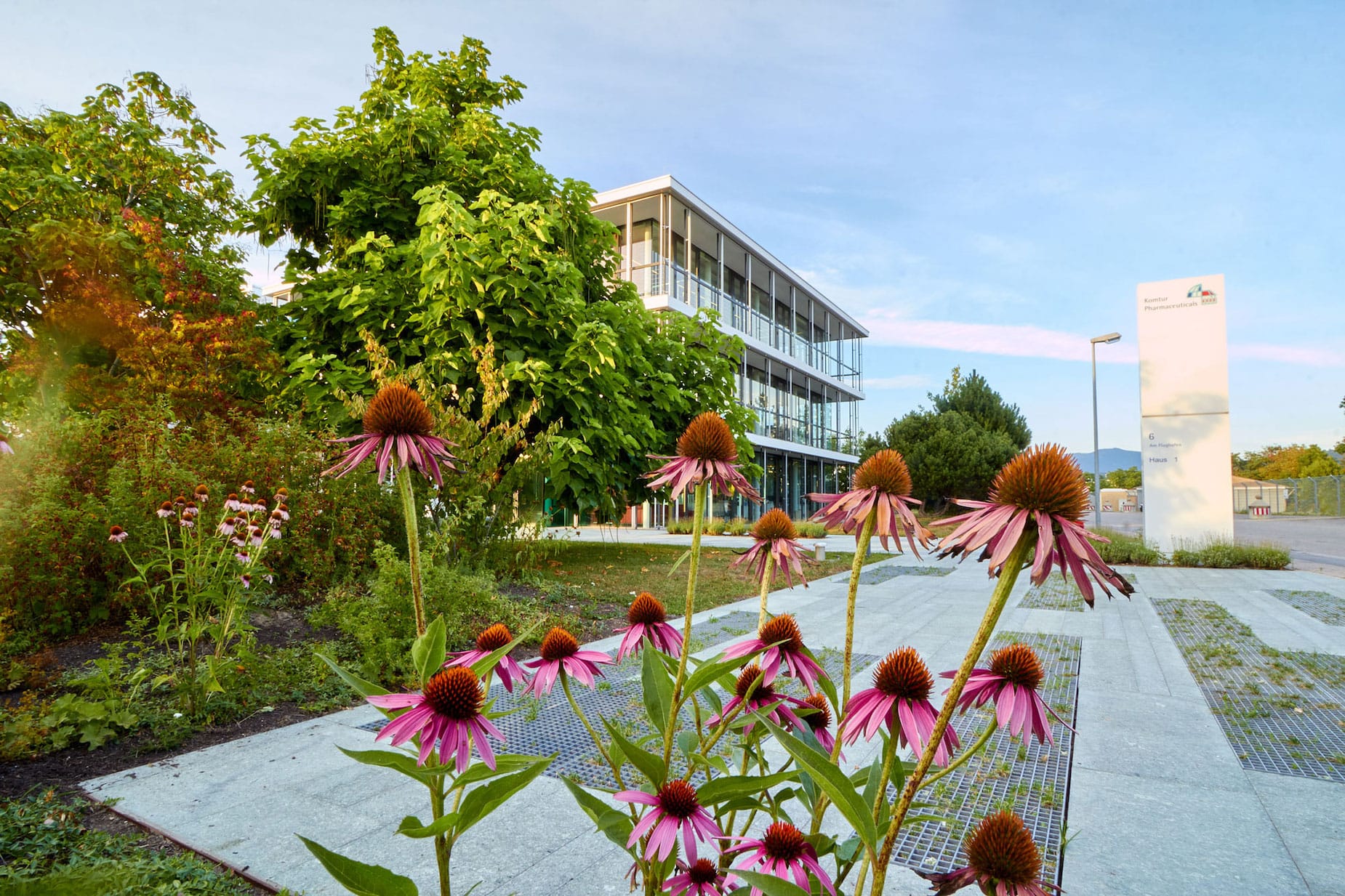freiburg-hq-garden.jpeg
